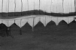 Lines_1