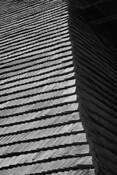 Shingles