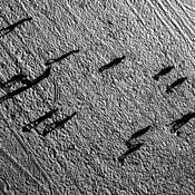 Homage_to_lowry