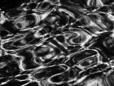 Ripples