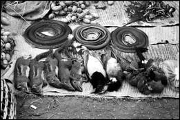 Market