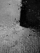 Four_o_clock