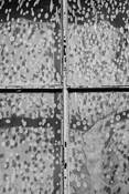Spatters_on_window
