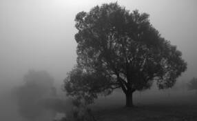 So_quiet