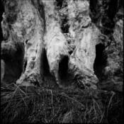Stone_and_grass