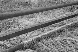 Untitled_01