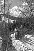 Colorado_slopes