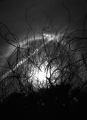 Sun_dog