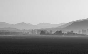 Nw_farmland