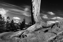Untitled_5