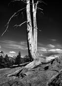 Untitled_6