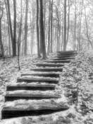 Untitled_8