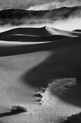 Windy_morning