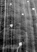 Fighting_gravity