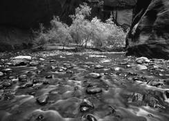 Zion