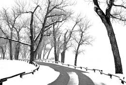 Spring_snow