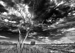 Requiem