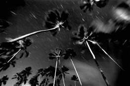 Night_in_praia_do_forte