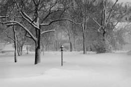 Snowstorm