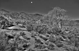 Moonrise_over_striped_butte