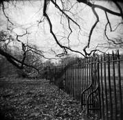 Almost_winter