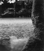 Casting_light