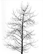 Untitled_13