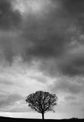 Untitled_1