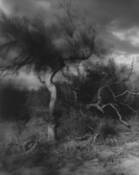 Stormy