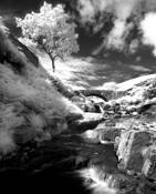 Three_shires_head