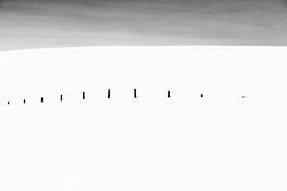 The_fence_between_snow_and_sky