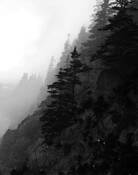 Early_morning_cliffside