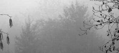 Silence