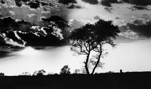 The_serengeti_____i_wish