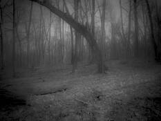Indiana_2