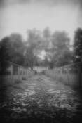 Path_to_infinity_jpg