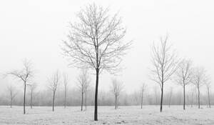 Untitled_16
