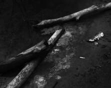 At_the_end
