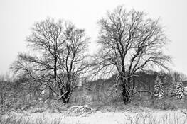 Wisconsin