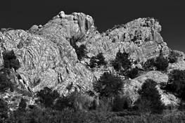 Gator_rock