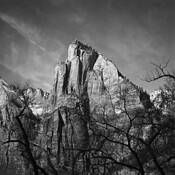 From_the_valley