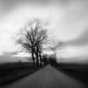 High_hills_road