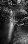 The_way