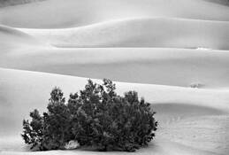 Triple_dune