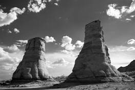 Elephant_feet