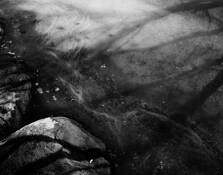 Untitled_3