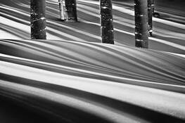 Winter_shadows