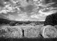 Round_hay_bales