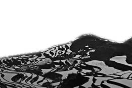 Rice_terrace_2