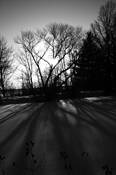 Shadows__2
